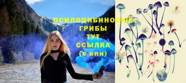 мяу мяу кристалл Липки