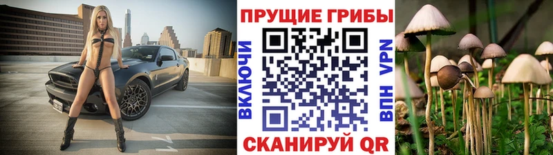 Купить закладки  Горячий Ключ  Псилоцибиновые грибы прущие грибы 